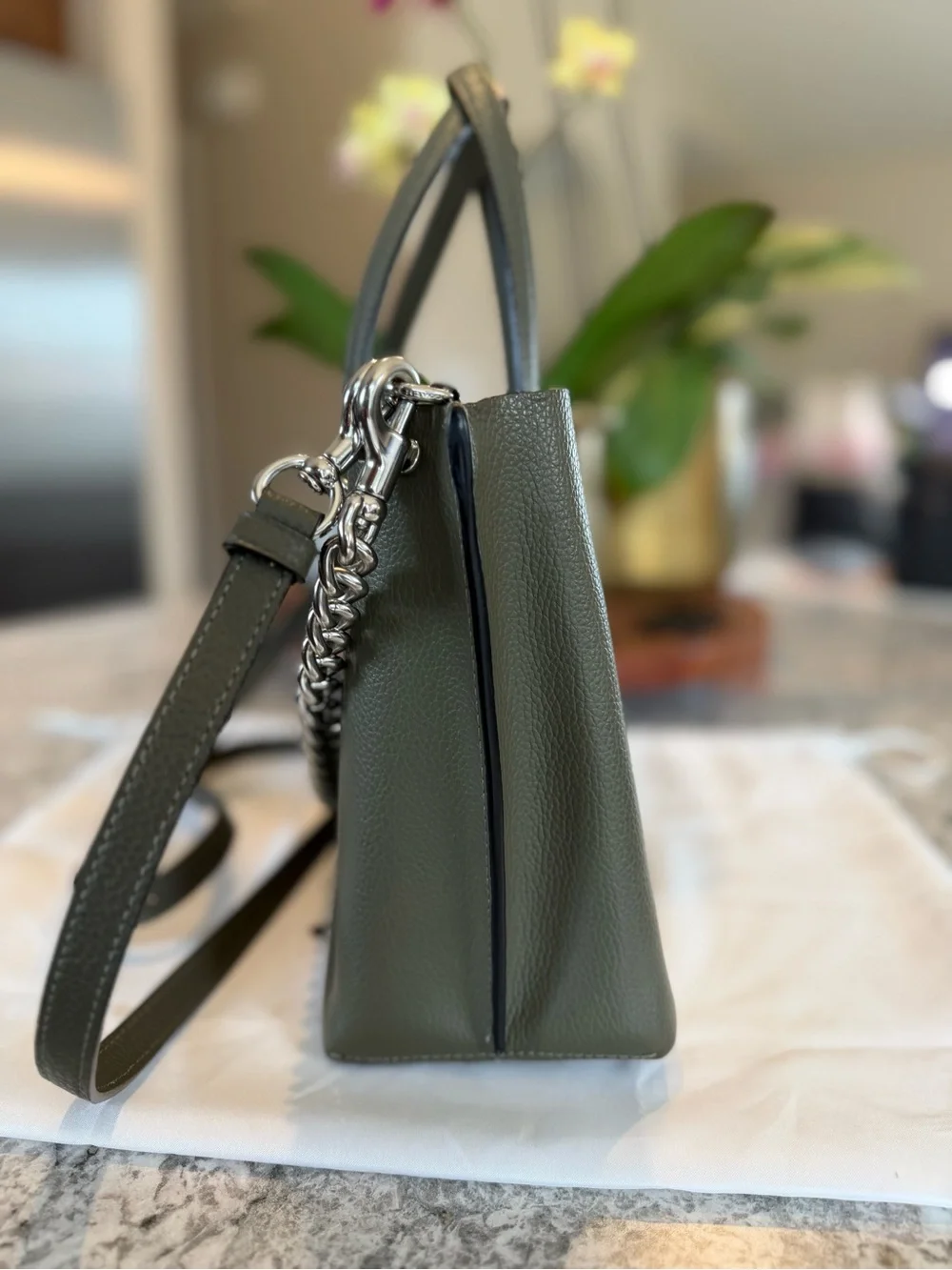 Coach Mollie Tote 25 Military Green Leather Crossbody Bag Style C4084